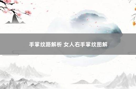 手掌纹路解析 女人右手掌纹图解