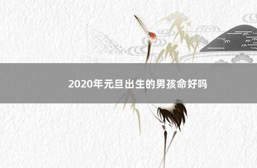 2020年元旦出生的男孩命好吗