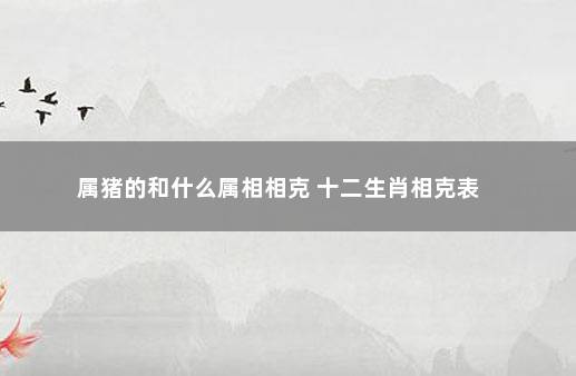 属猪的和什么属相相克 十二生肖相克表