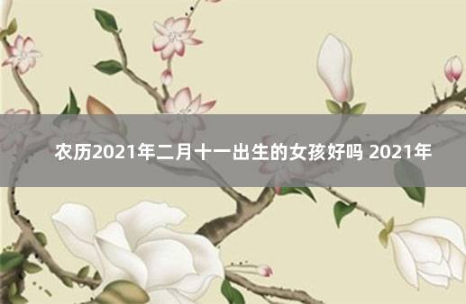 农历2021年二月十一出生的女孩好吗 2021年1月11出生的女孩命好吗