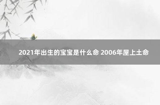 2021年出生的宝宝是什么命 2006年屋上土命好不好