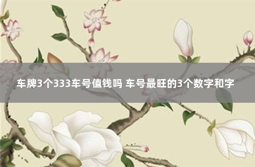 车牌3个333车号值钱吗 车号最旺的3个数字和字母