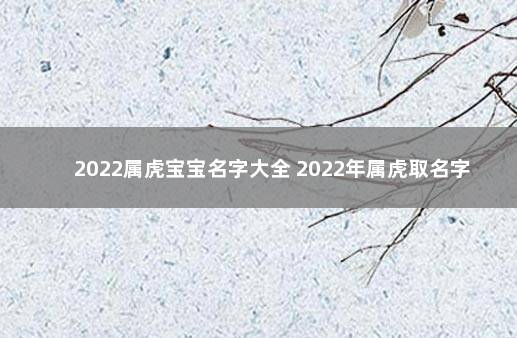 2022属虎宝宝名字大全 2022年属虎取名字