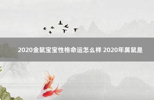 2020金鼠宝宝性格命运怎么样 2020年属鼠是金命还是土命