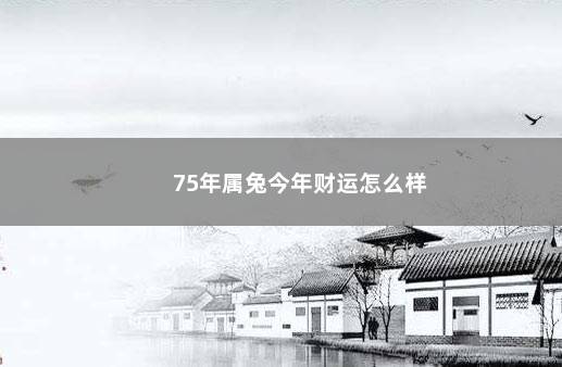 75年属兔今年财运怎么样