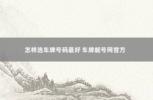 怎样选车牌号码最好 车牌靓号网官方