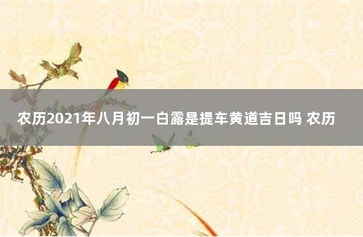 农历2021年八月初一白露是提车黄道吉日吗 农历八月二十一提车好不好