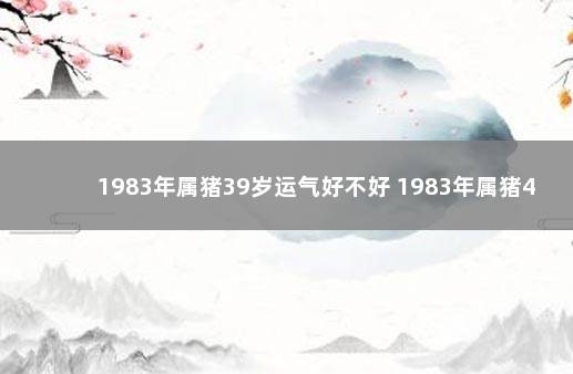 1983年属猪39岁运气好不好 1983年属猪40-50岁运程