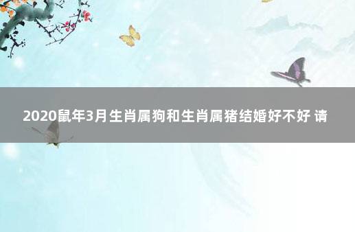 2020鼠年3月生肖属狗和生肖属猪结婚好不好 请问,属猪的和属鼠的结婚好不好