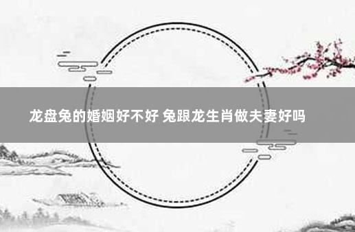 龙盘兔的婚姻好不好 兔跟龙生肖做夫妻好吗