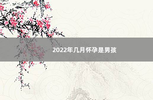 2022年几月怀孕是男孩