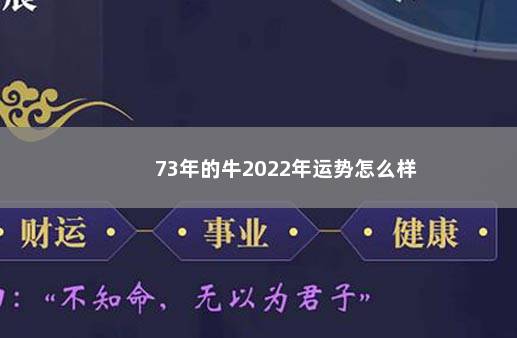 73年的牛2022年运势怎么样