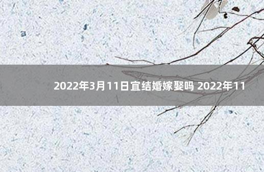 2022年3月11日宜结婚嫁娶吗 2022年11月13号适合结婚吗