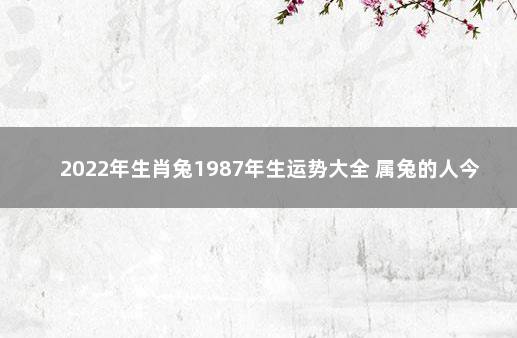 2022年生肖兔1987年生运势大全 属兔的人今年运势怎样