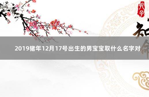 2019猪年12月17号出生的男宝宝取什么名字对他比较有利 2007属猪男孩取名字