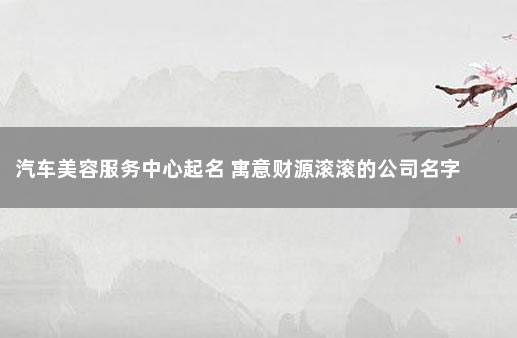 汽车美容服务中心起名 寓意财源滚滚的公司名字