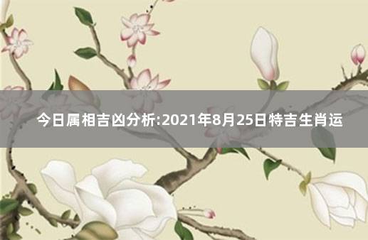 今日属相吉凶分析:2021年8月25日特吉生肖运势解说 2021属什么生肖