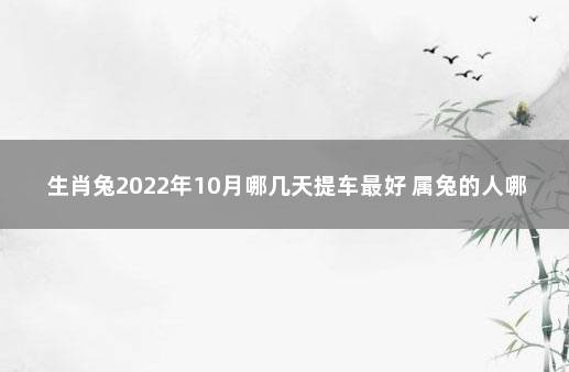 生肖兔2022年10月哪几天提车最好 属兔的人哪天提车好