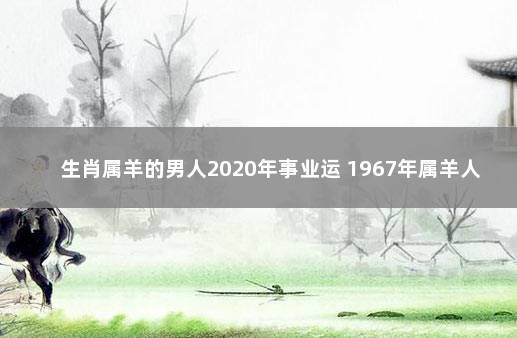 生肖属羊的男人2020年事业运 1967年属羊人的运程