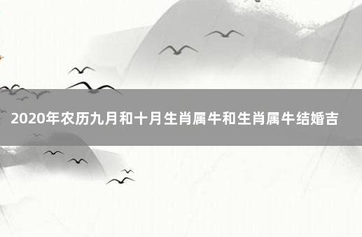 2020年农历九月和十月生肖属牛和生肖属牛结婚吉日精选