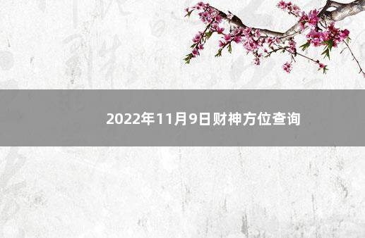 2022年11月9日财神方位查询