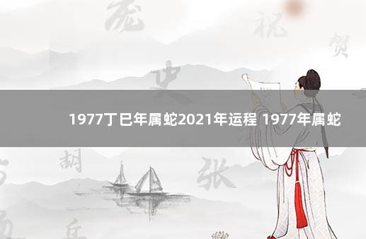 1977丁巳年属蛇2021年运程 1977年属蛇的2021年运势