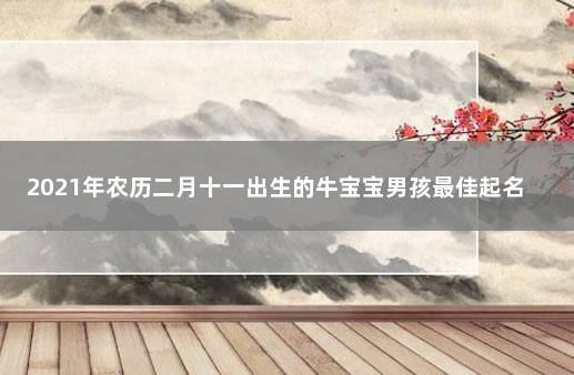 2021年农历二月十一出生的牛宝宝男孩最佳起名 2021年农历11月出生的牛宝宝取名