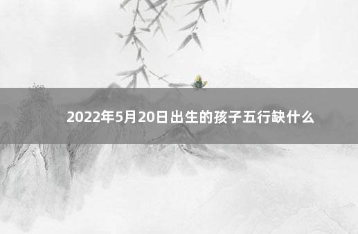 2022年5月20日出生的孩子五行缺什么