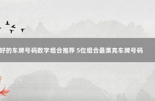 好的车牌号码数字组合推荐 5位组合最漂亮车牌号码