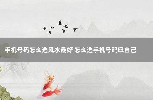 手机号码怎么选风水最好 怎么选手机号码旺自己