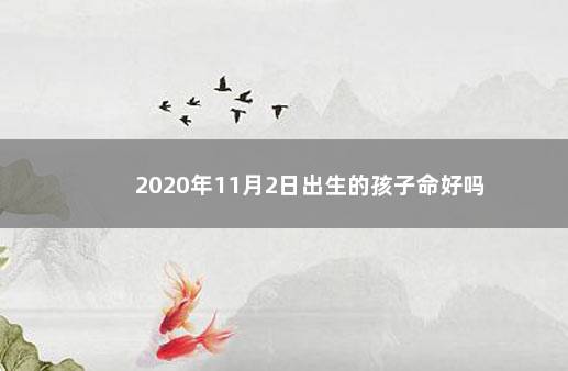 2020年11月2日出生的孩子命好吗