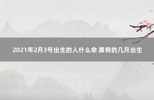 2021年2月3号出生的人什么命 属狗的几月出生最好