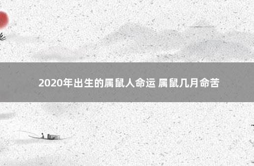 2020年出生的属鼠人命运 属鼠几月命苦