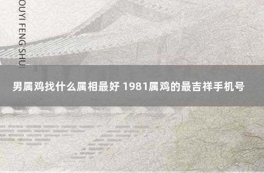 男属鸡找什么属相最好 1981属鸡的最吉祥手机号码