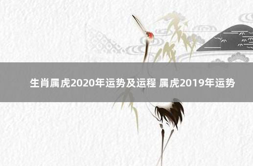 生肖属虎2020年运势及运程 属虎2019年运势及运程