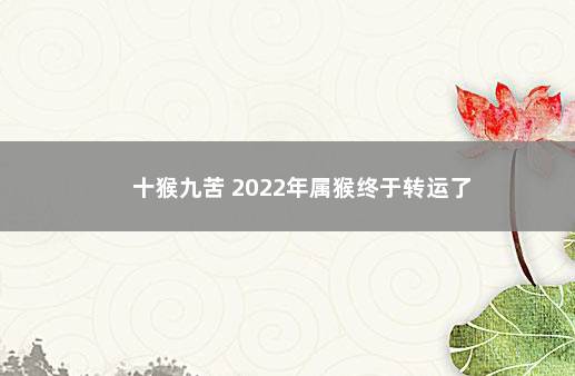 十猴九苦 2022年属猴终于转运了