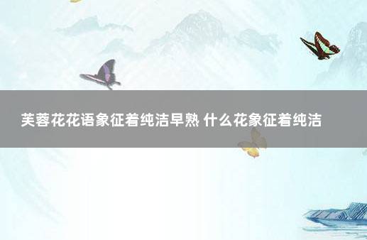 芙蓉花花语象征着纯洁早熟 什么花象征着纯洁