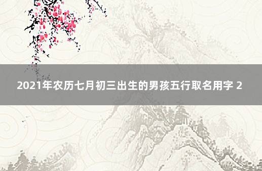 2021年农历七月初三出生的男孩五行取名用字 2021年7月出生男宝宝取名