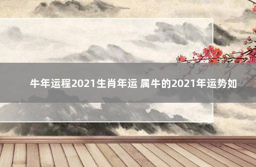 牛年运程2021生肖年运 属牛的2021年运势如何