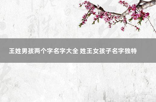 王姓男孩两个字名字大全 姓王女孩子名字独特