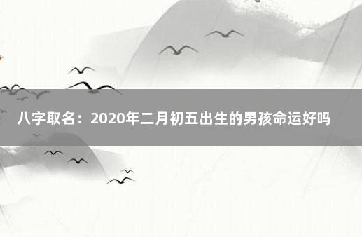 八字取名：2020年二月初五出生的男孩命运好吗 免费起名字生辰八字