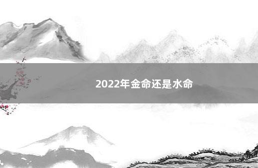 2022年金命还是水命