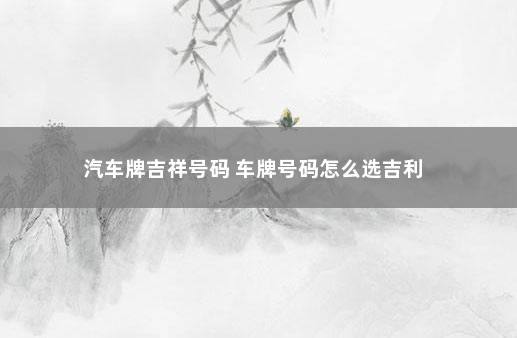 汽车牌吉祥号码 车牌号码怎么选吉利