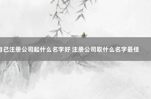 自己注册公司起什么名字好 注册公司取什么名字最佳免费