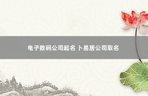 电子数码公司起名 卜易居公司取名