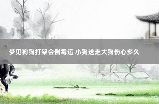 梦见狗狗打架会倒霉运 小狗送走大狗伤心多久