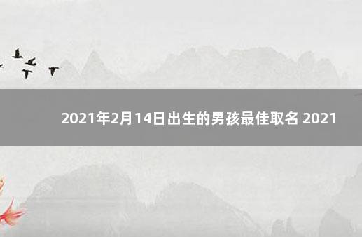 2021年2月14日出生的男孩最佳取名 2021年农历4月出生的宝宝取名