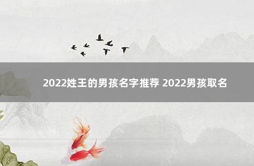 2022姓王的男孩名字推荐 2022男孩取名