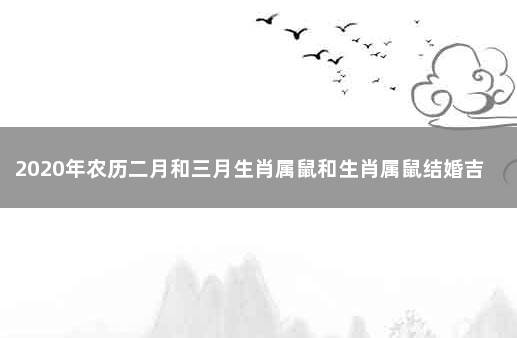 2020年农历二月和三月生肖属鼠和生肖属鼠结婚吉日 属鼠几月命苦