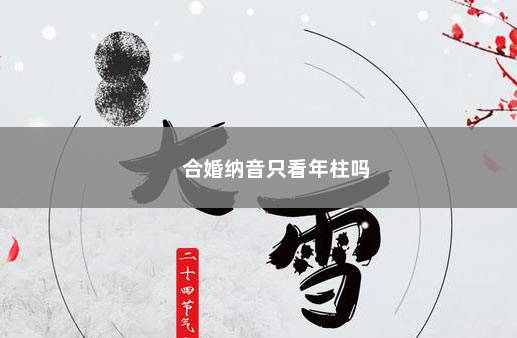 合婚纳音只看年柱吗